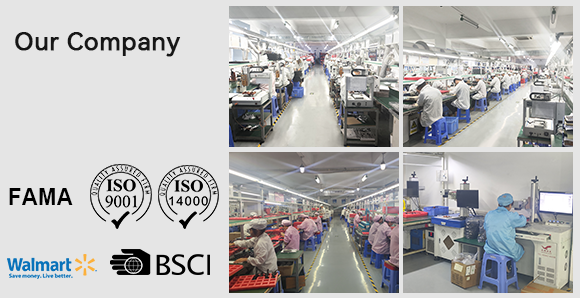 Our Company